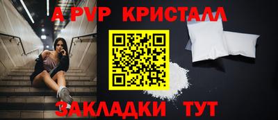 не бодяженный Кингисепп
