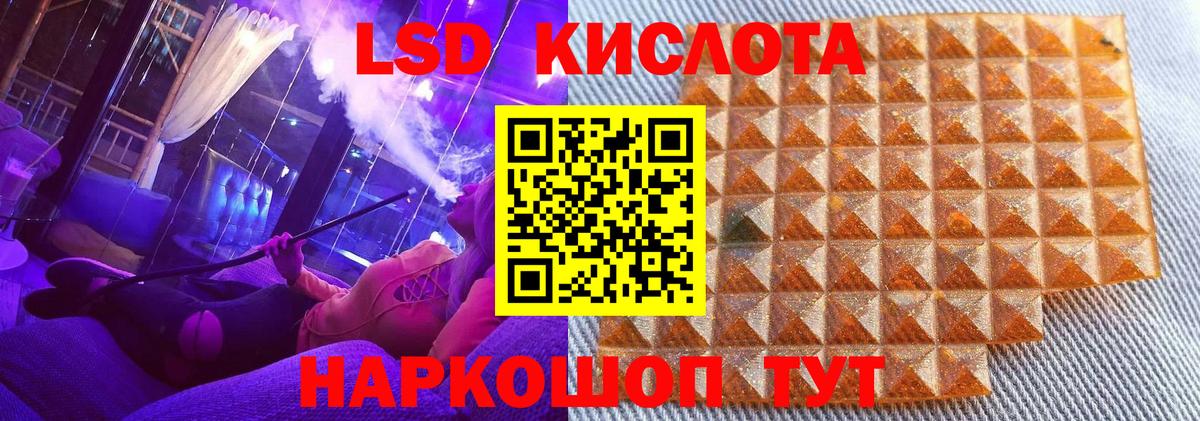 Псилоцибиновые грибы Зима