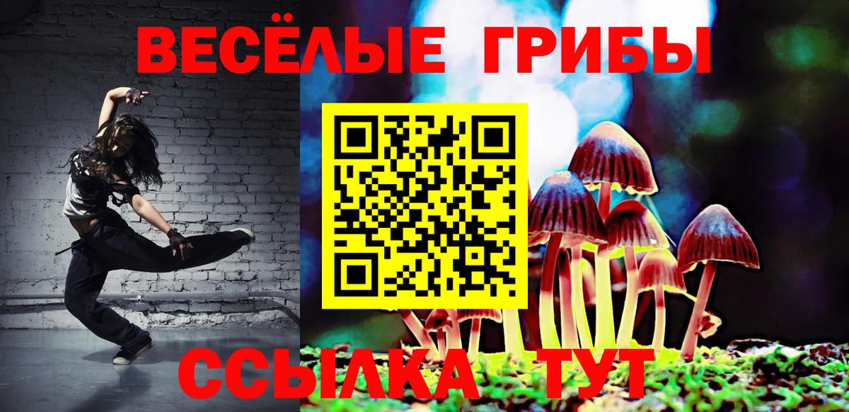 Галлюциногенные грибы Magic Shrooms  Вход с VPN  Зима 