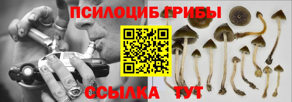 Псилоцибиновые грибы мухоморы Зима